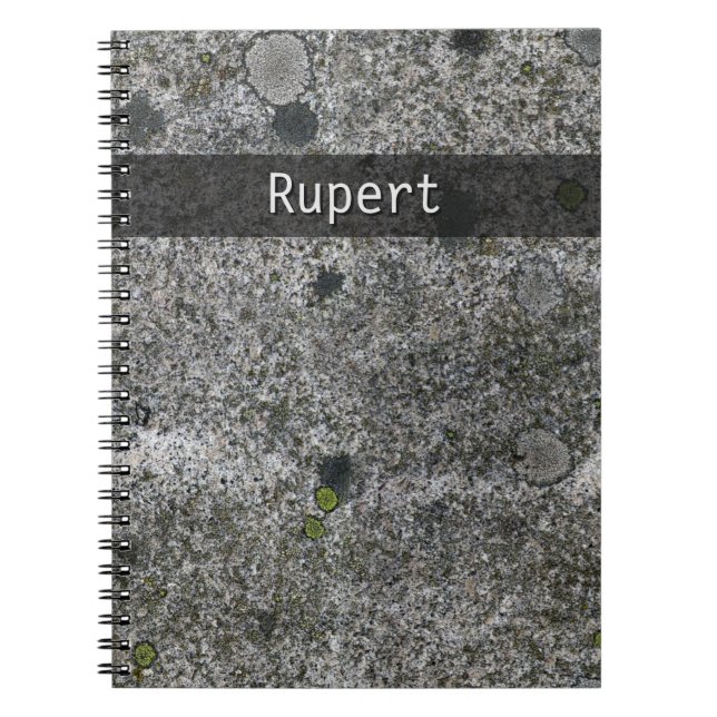Nature Geology Gray Granite Moss Details any Text Notebook (Front)