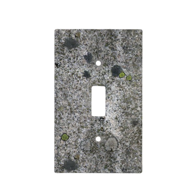 Nature Geology Gray Rock Texture with Moss Light Switch Cover (Front)