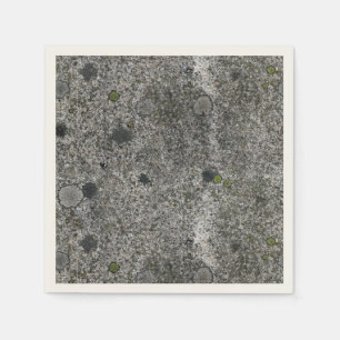 Nature Granite Rock with Green Moss Napkins
