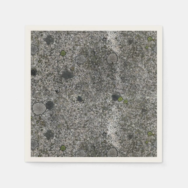 Nature Granite Rock with Green Moss Napkins (Front)