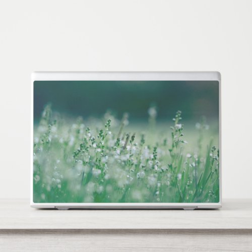 nature grass HP laptop skin