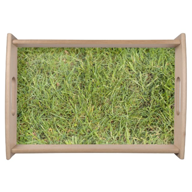 Nature & Grass Tray (Front)