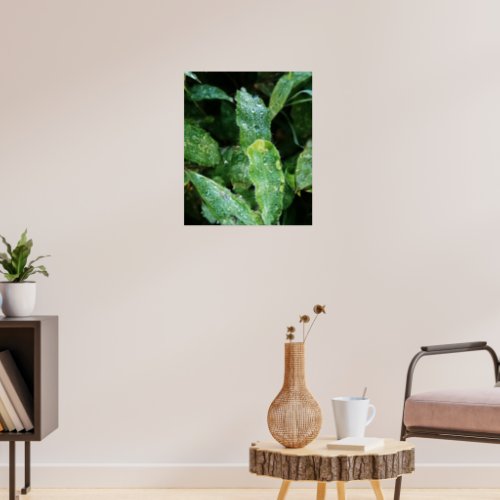 Nature Green Leaf Water Droplets Poster