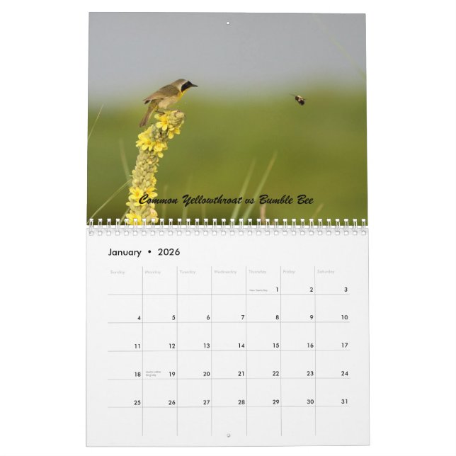 Nature Has a Sense of Humor Calendar (Jan 2026)