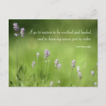 Nature Heals Lavender Photography & Quote Postcard by time2see at Zazzle