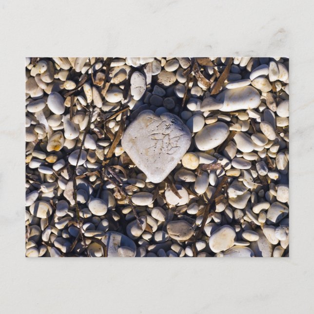 Nature Heart Card (Front)