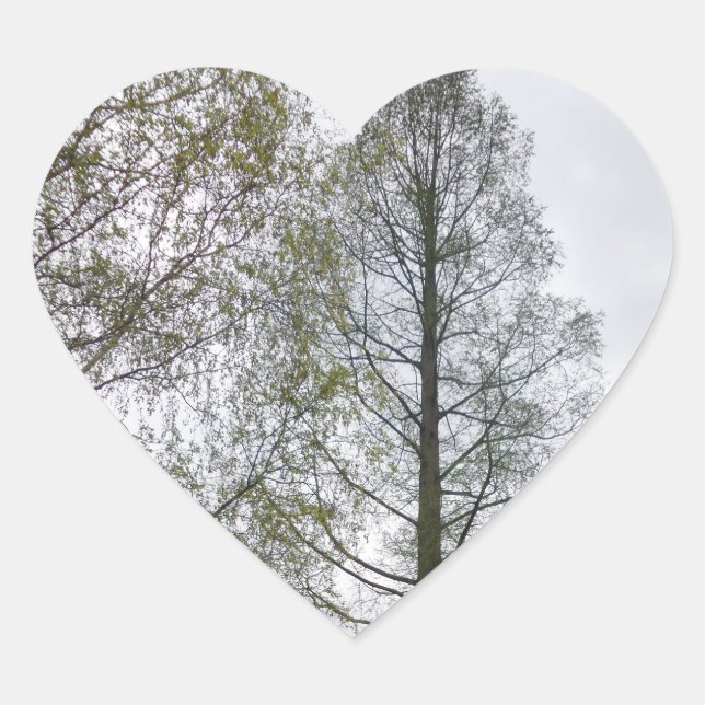 Nature Heart Sticker (Front)