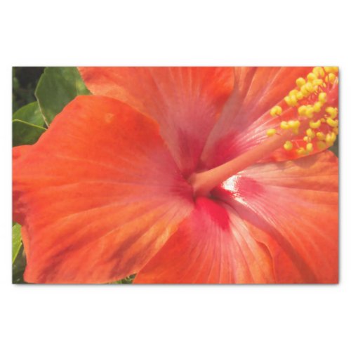 nature hibiscus flower summer floral tropical tissue paper