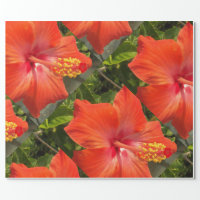 bright red tropical hibiscus flower wrapping paper, Zazzle