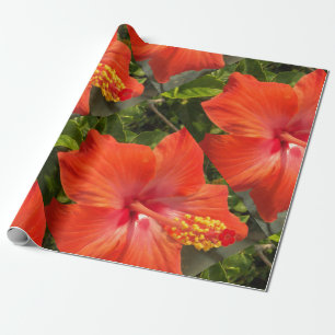 nature, hibiscus, flower, summer, floral, tropical wrapping paper