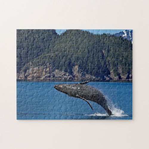 Nature Humpback Whale Wildlife Photo Jigsaw Puzzle
