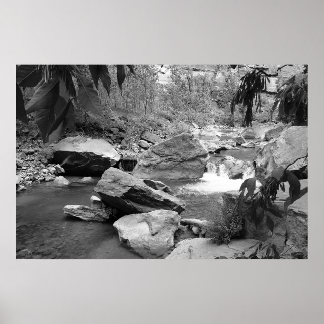 Nature in black & white poster (Front)