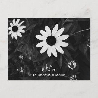 Nature in Monochrome