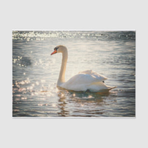 Nature Inspirations Elegant Swan Tissue Paper