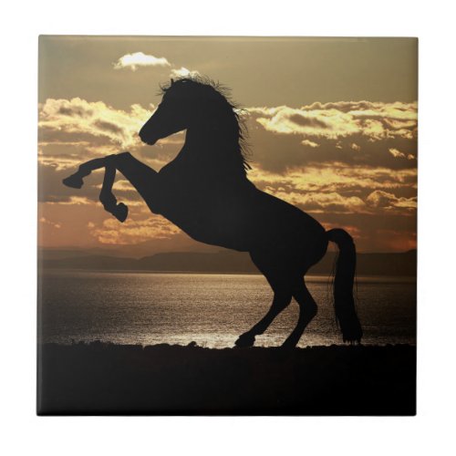 Nature Inspirations Horse Silhouette  Ceramic Tile