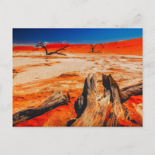 Nature Inspirations Namibia, Africa Postcard
