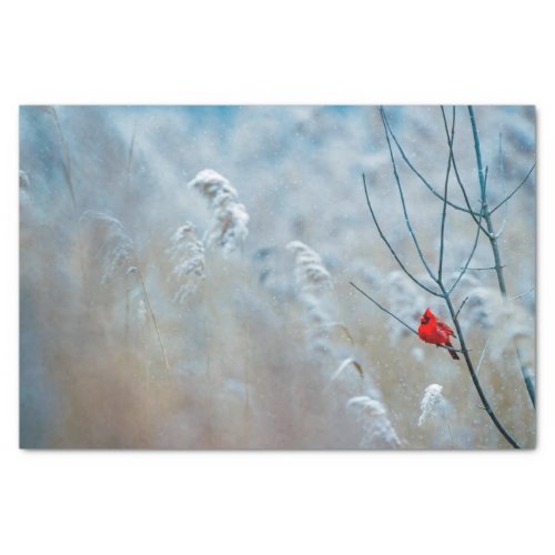 Nature Inspirations Red Cardinal in Wintry Forest Tissue Paper