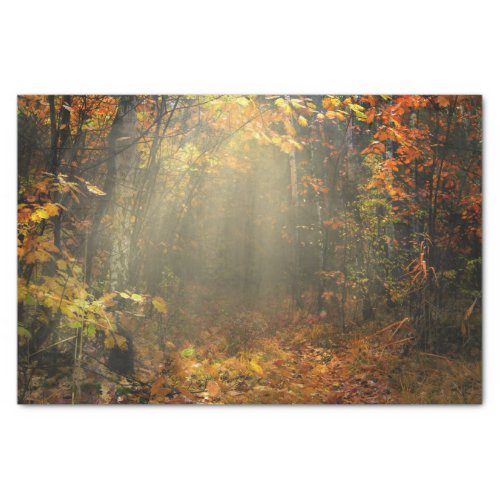 Nature Inspirations Sun Drenched Forest Tissue Paper