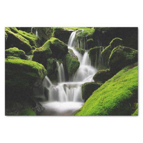 Nature Inspirations Waterfall in South Korea Tissue Paper