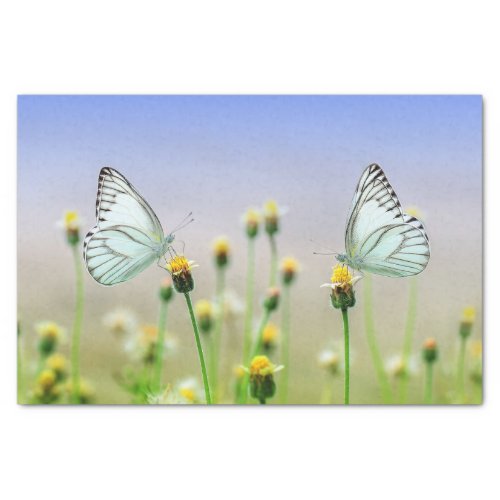 Nature Inspirations White Twin Butterflies  Tissue Paper