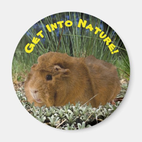 Nature Inspired Cute Guinea Pig Photo Template