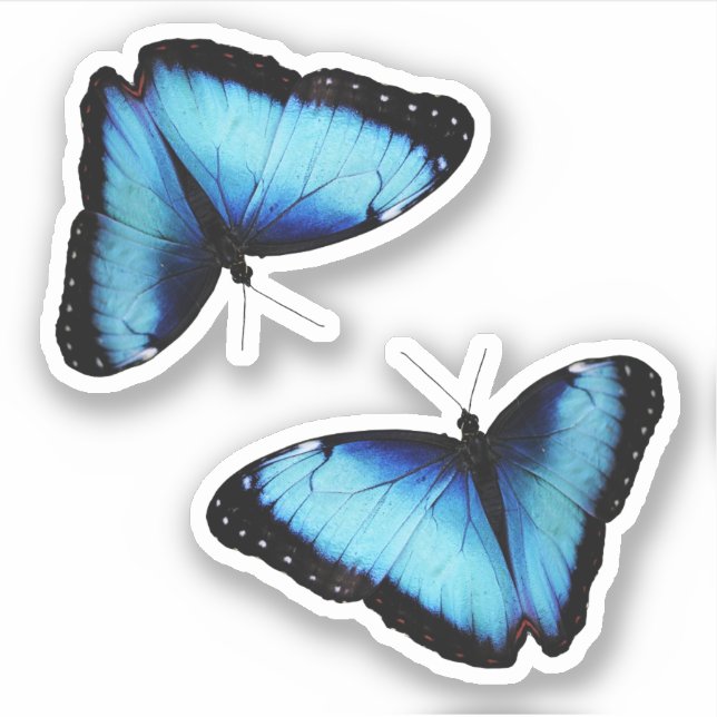 Nature-Inspired Design Sticker (Front)