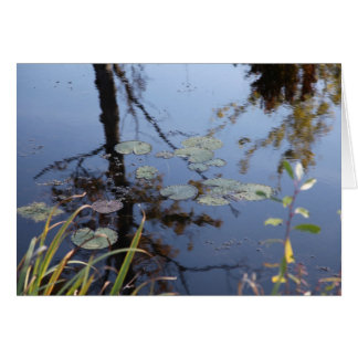 Nature is a language... cards
