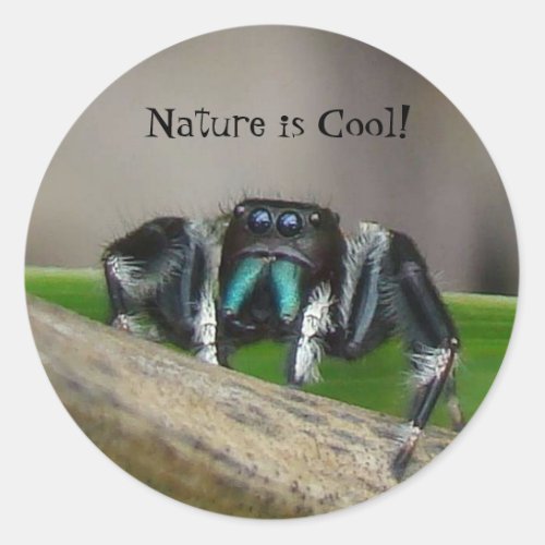 Nature is Cool Classic Round Sticker