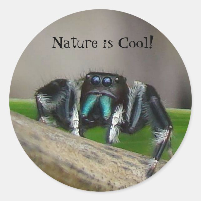 Nature is Cool! Classic Round Sticker (Front)