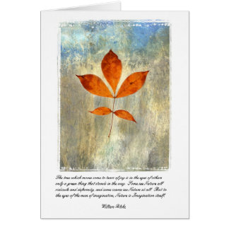 Nature Is Imagination Cards