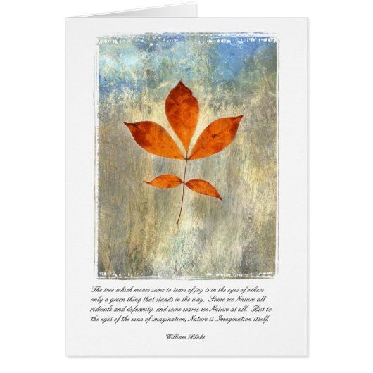 Nature Is Imagination Cards (Front)