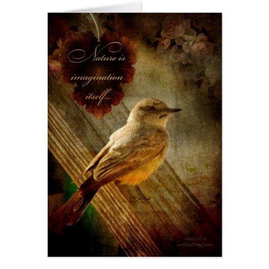 Nature is Imagination Cards (Front)