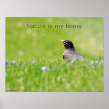 Nature Is My Home Poster by schoolpsychdesigns at Zazzle