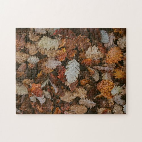 Nature Jigsaw Puzzle Autumn Jigsaw Puzzle Extreme