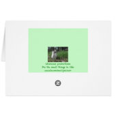 Nature Kitty Girl Cards (Back Horizontal)