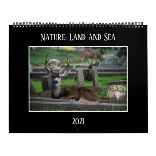 Nature: Land and Sea Calendar 2021