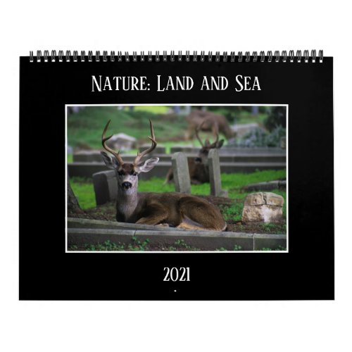 Nature Land and Sea Calendar 2021