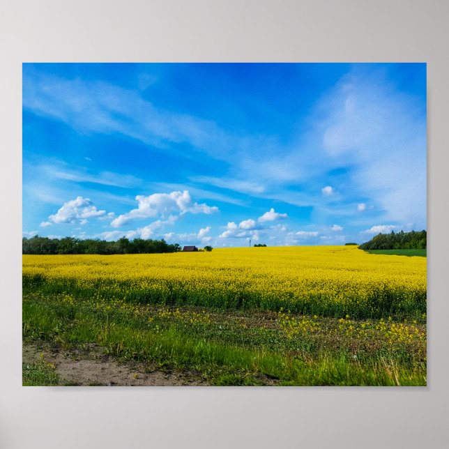 Nature Landscape Canola Field Rural Belarus Poster (Front)