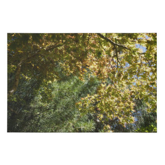 Nature Landscape Canvas Art Maple Tree Conifers
