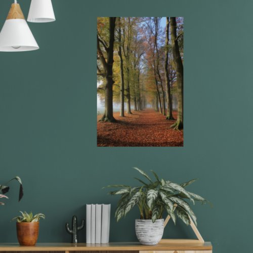 Nature landscape photography autumn trees  poster