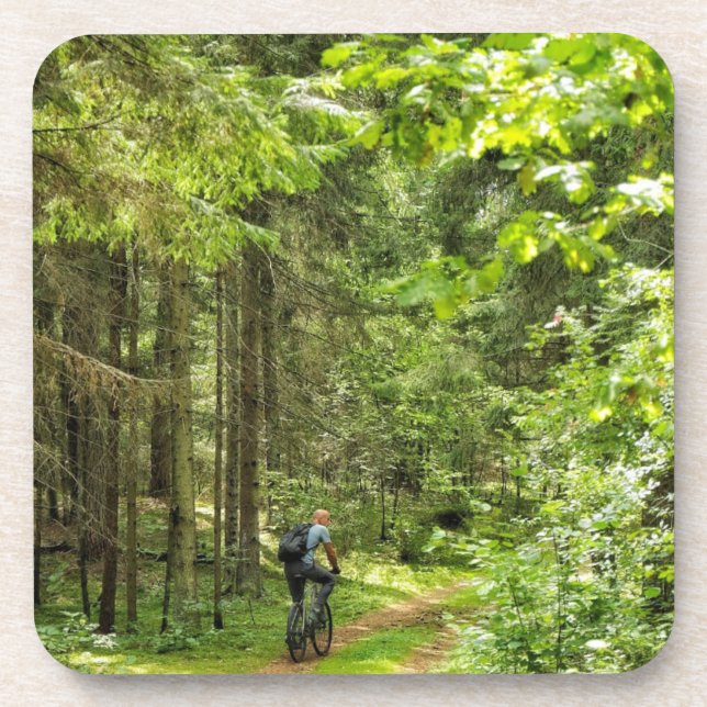 Nature Landscape Scenery Forest Belarus Beverage Coaster (Front)