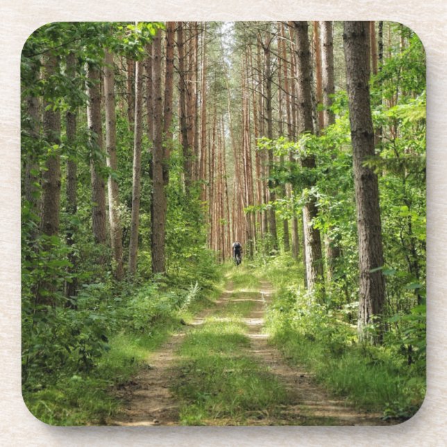 Nature Landscape Scenery Forest Belarus Beverage Coaster (Front)
