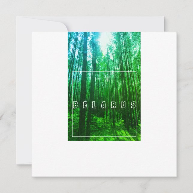 Nature Landscape Scenery Forest Belarus Flat Card (Front)