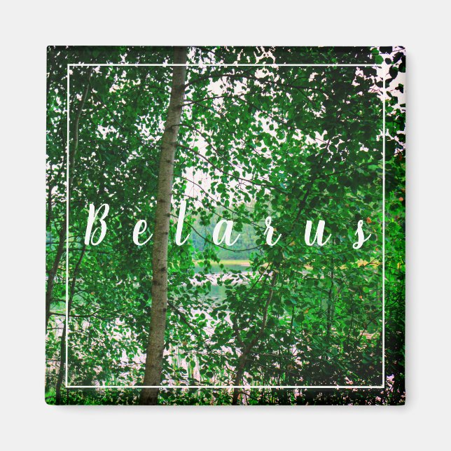 Nature Landscape Scenery Forest Belarus Magnet (Front)