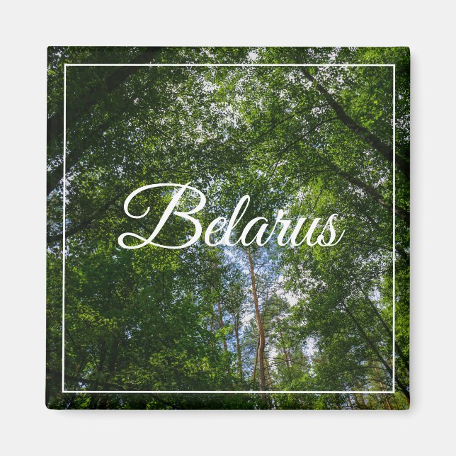 Nature Landscape Scenery Forest Belarus Magnet (Front)