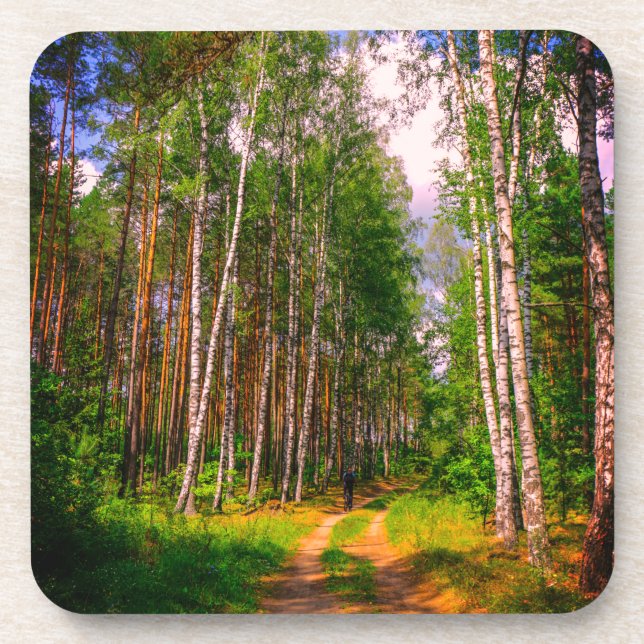 Nature Landscape Scenery Forest Birch Belarus Beverage Coaster (Front)