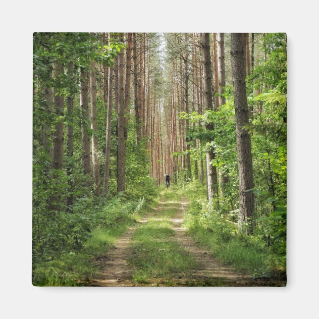Nature Landscape Scenery Forest Trees Belarus Magnet (Front)