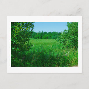Nature Landscape Scenery Green Field Forest Postcard