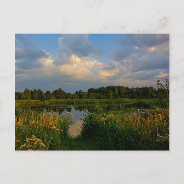 Nature Landscape Scenery Lake Belarus Postcard (Front)