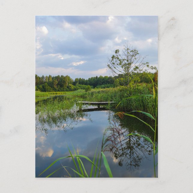 Nature Landscape Scenery Lake Belarus Postcard (Front)